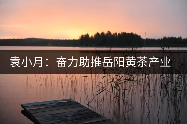 袁小月:奮力助推岳陽黃茶產業(yè)發(fā)展 袁小月:奮力助推岳陽黃茶產業(yè)發(fā)展