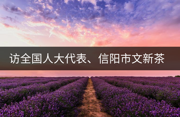 訪全國(guó)人大代表、信陽(yáng)市文新茶葉有限責(zé)任公司董事長(zhǎng)劉文新