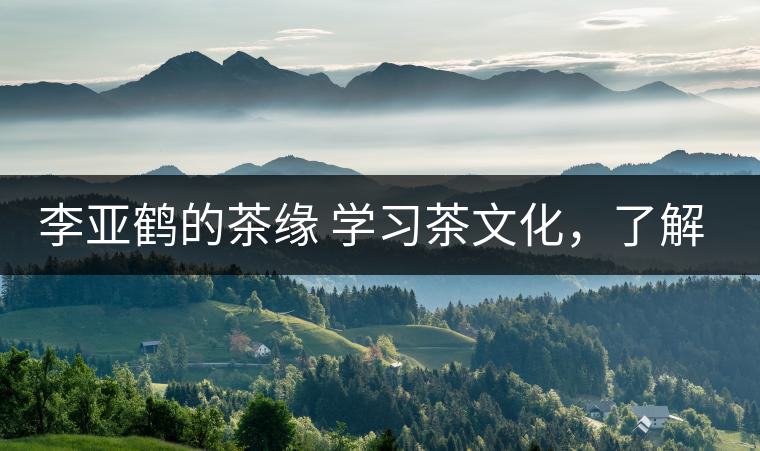 李亞鶴的茶緣 學(xué)習(xí)茶文化，了解茶文化，品味茶文化