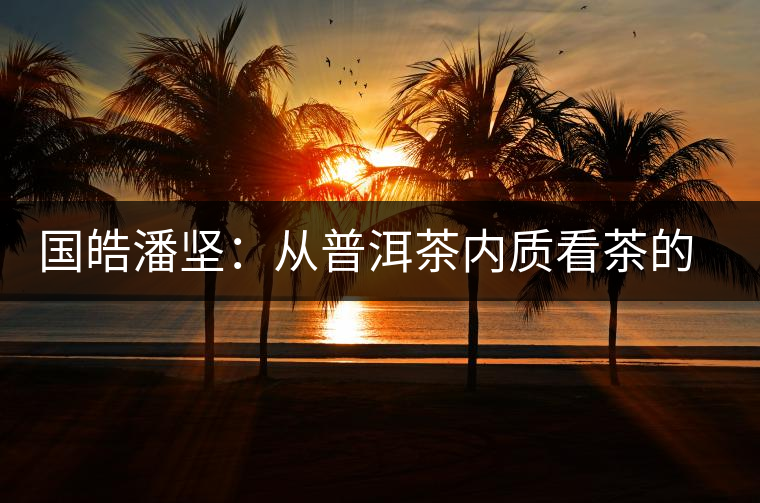 國皓潘堅(jiān):從普洱茶內(nèi)質(zhì)看茶的好壞 國皓潘堅(jiān):從普洱茶內(nèi)質(zhì)看茶的好壞