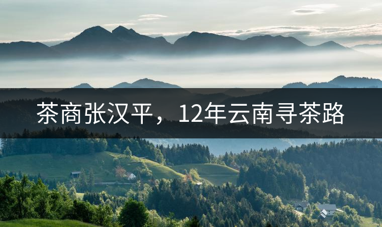 茶商張漢平，12年云南尋茶路