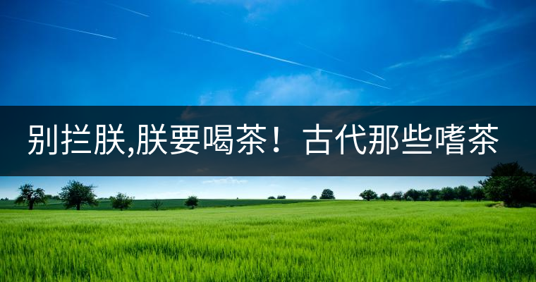 別攔朕,朕要喝茶！古代那些嗜茶如命的皇帝