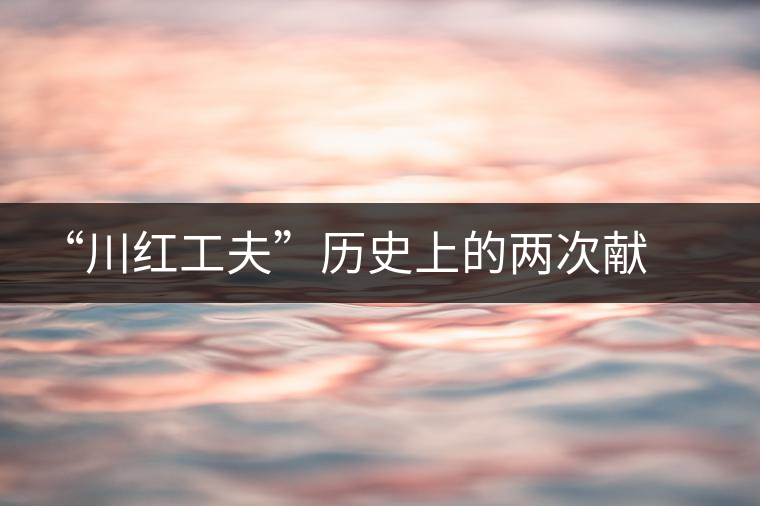 “川紅工夫”歷史上的兩次獻禮