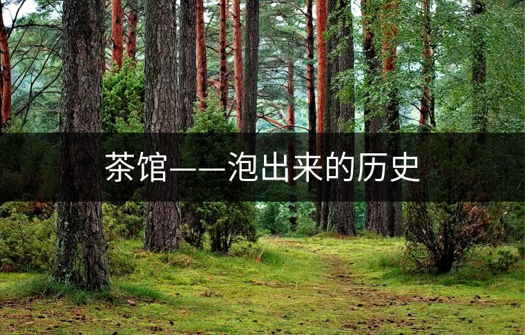 茶館——泡出來(lái)的歷史 茶館——泡出來(lái)的歷史