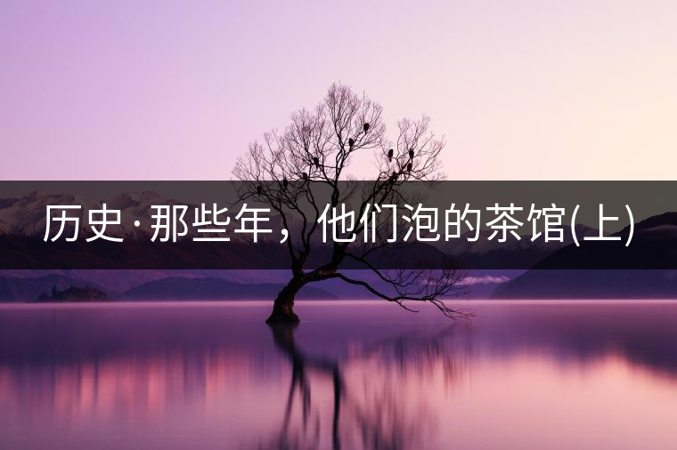 歷史·那些年，他們泡的茶館(上)