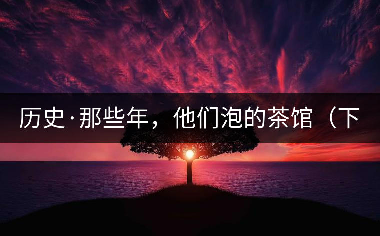 歷史·那些年，他們泡的茶館（下）