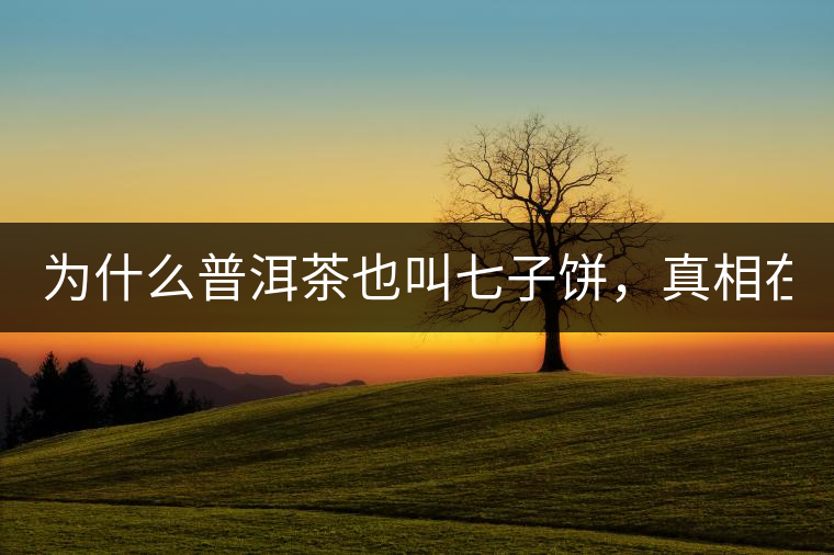 為什么普洱茶也叫七子餅，真相在這里！