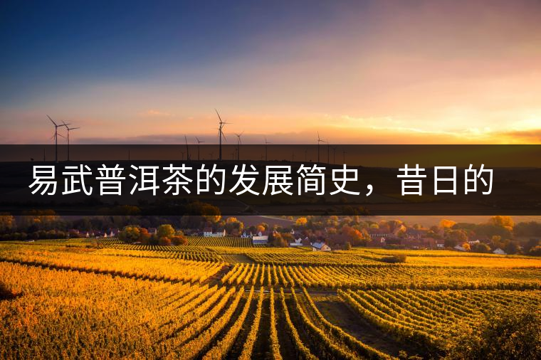 易武普洱茶的發(fā)展簡史，昔日的貢茶如今依然輝煌