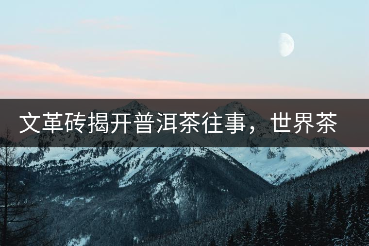 文革磚揭開普洱茶往事，世界茶文化交流協(xié)會成員共品經(jīng)典文革磚！