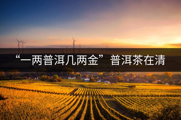 “一兩普洱幾兩金”普洱茶在清代為啥這么火？！