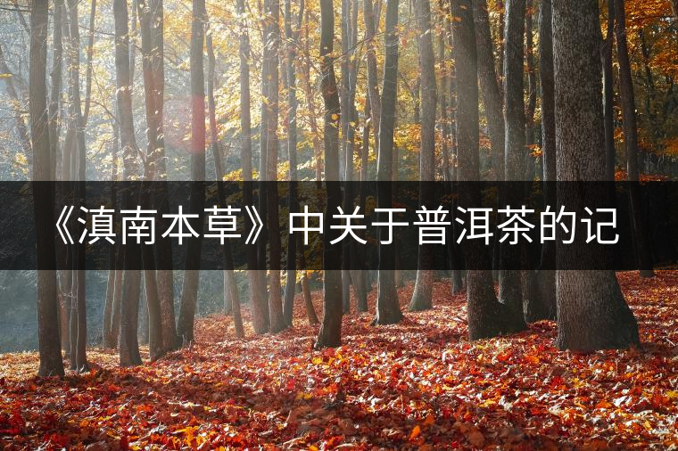 《滇南本草》中關(guān)于普洱茶的記載