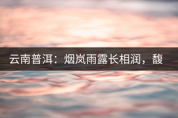 云南普洱：煙嵐雨露長相潤，馥郁芳香久久留