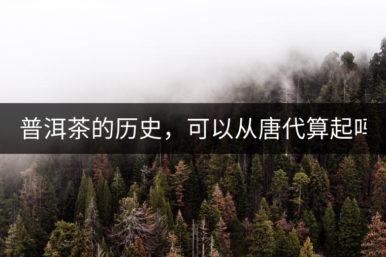 普洱茶的歷史，可以從唐代算起嗎？