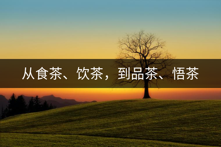 從食茶、飲茶，到品茶、悟茶