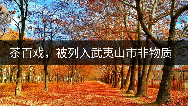 茶百戲，被列入武夷山市非物質(zhì)文化遺產(chǎn)的茶湯