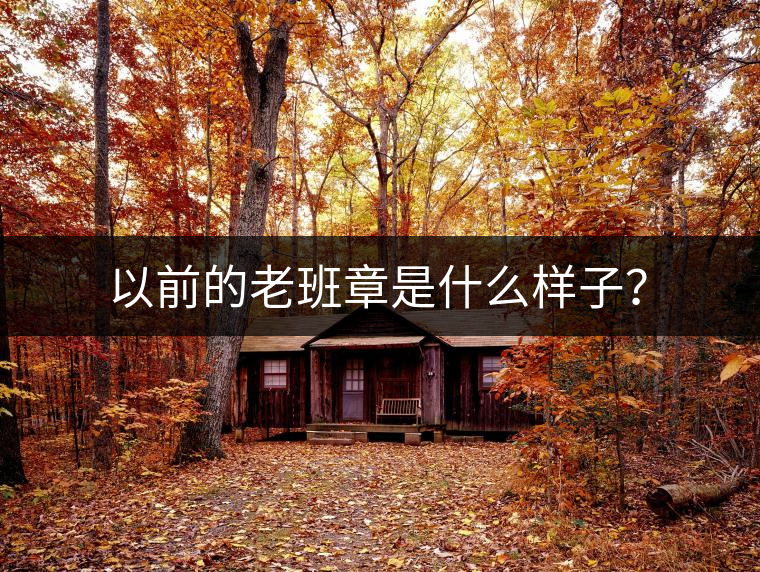 以前的老班章是什么樣子？