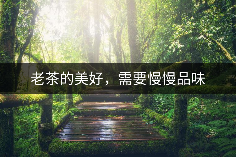 老茶的美好，需要慢慢品味