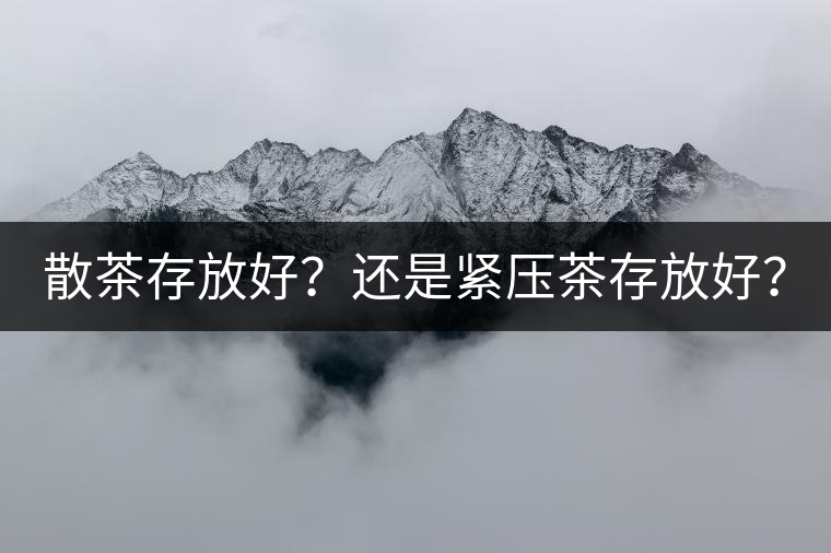散茶存放好？還是緊壓茶存放好？