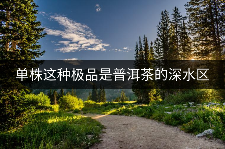 單株這種極品是普洱茶的深水區(qū)