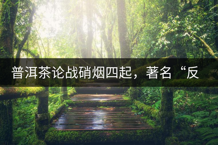 普洱茶論戰(zhàn)硝煙四起，著名“反偽斗士”司馬南有話說