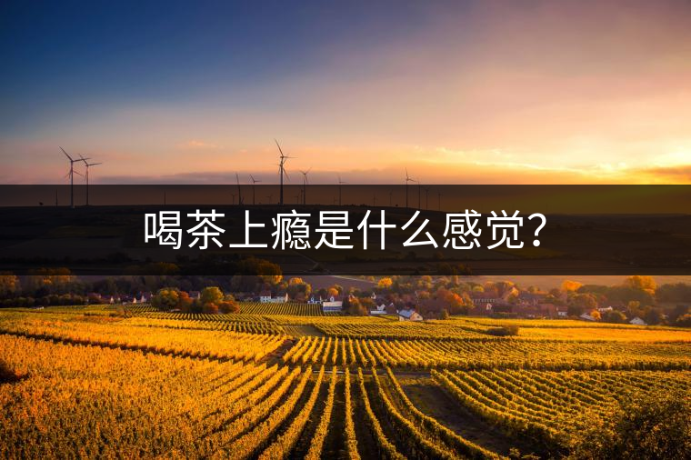 喝茶上癮是什么感覺(jué)？