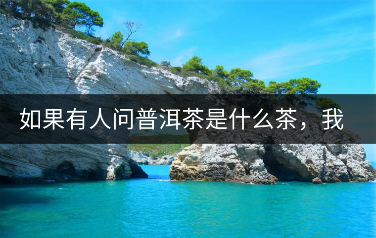 如果有人問普洱茶是什么茶，我就請他看這個段子