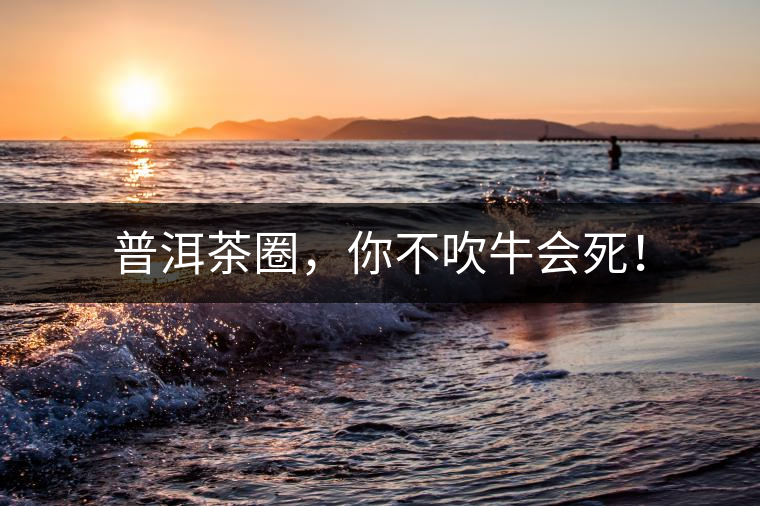 普洱茶圈，你不吹牛會死！