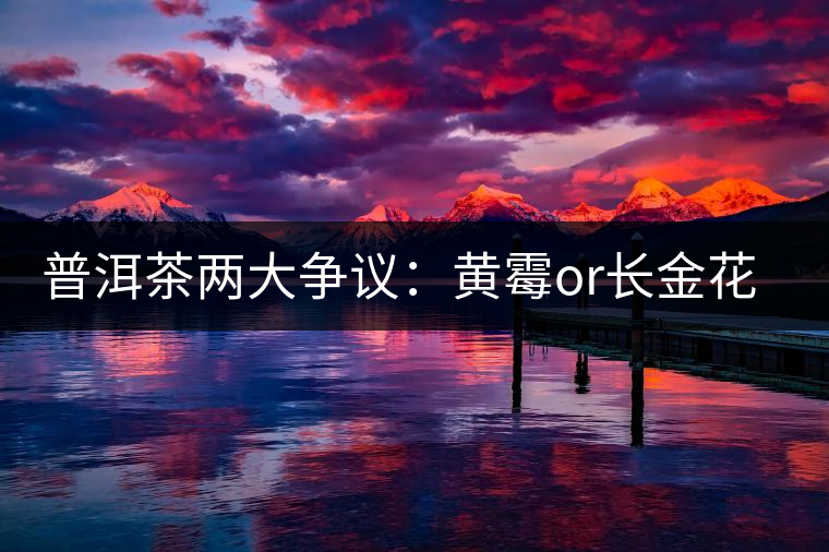 普洱茶兩大爭(zhēng)議：黃霉or長(zhǎng)金花，生蟲(chóng)or蟲(chóng)屎茶