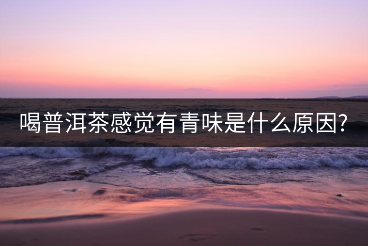 喝普洱茶感覺(jué)有青味是什么原因?