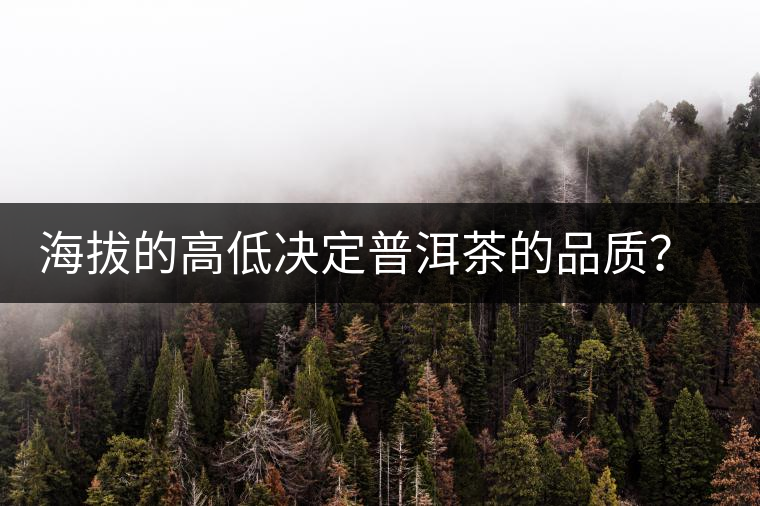 海拔的高低決定普洱茶的品質(zhì)？【附：名山頭茶海拔表】