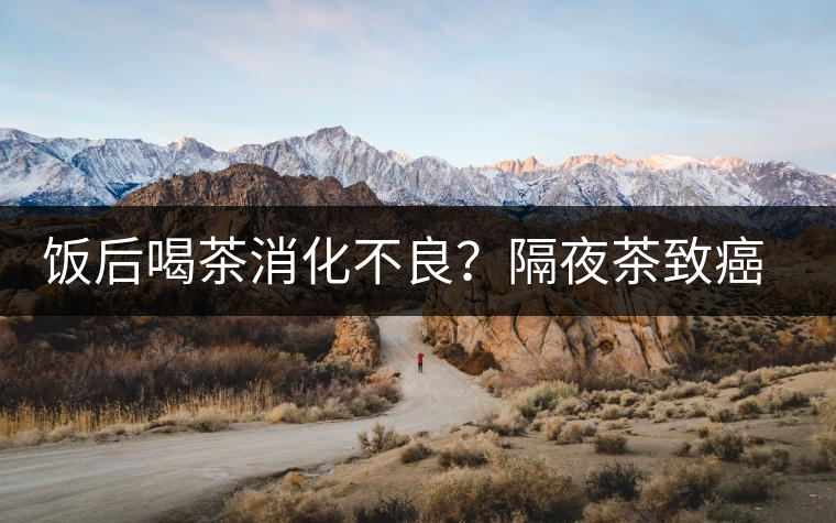 飯后喝茶消化不良？隔夜茶致癌？9個喝茶流言你該好好分個真假