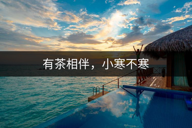 有茶相伴，小寒不寒