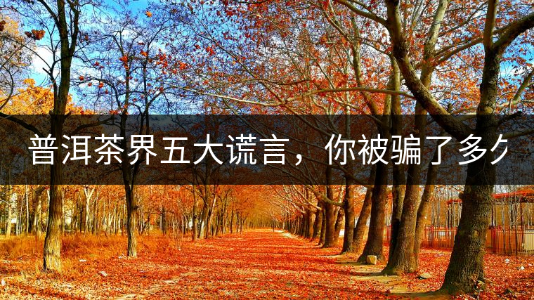 普洱茶界五大謊言，你被騙了多久？