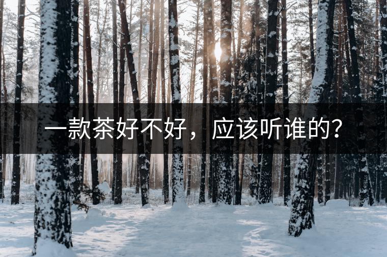 一款茶好不好，應(yīng)該聽誰(shuí)的？