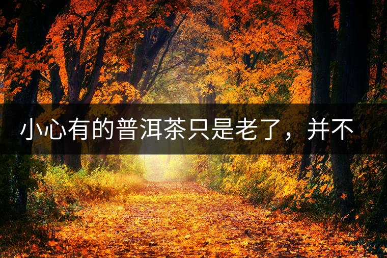 小心有的普洱茶只是老了，并不是好了