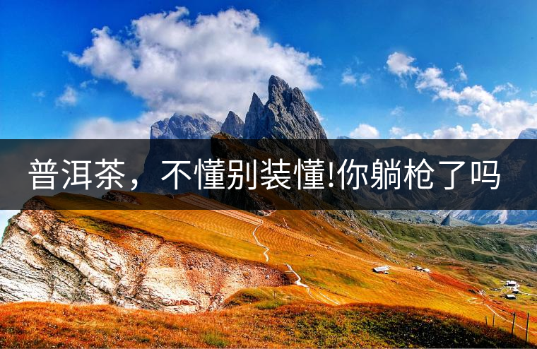 普洱茶，不懂別裝懂!你躺槍了嗎?