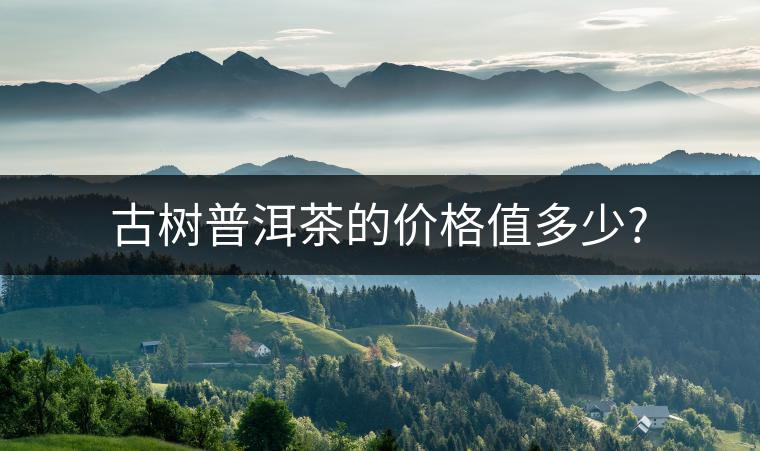 古樹(shù)普洱茶的價(jià)格值多少?