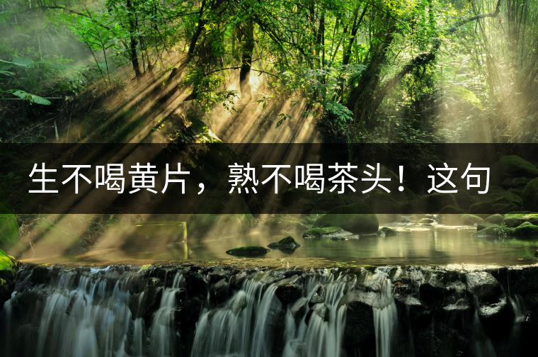 生不喝黃片，熟不喝茶頭！這句話你了解多少？