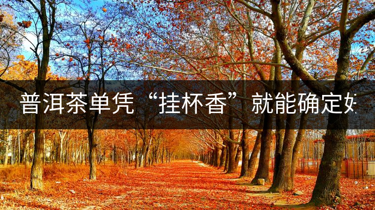 普洱茶單憑“掛杯香”就能確定好壞？you錯(cuò)了！