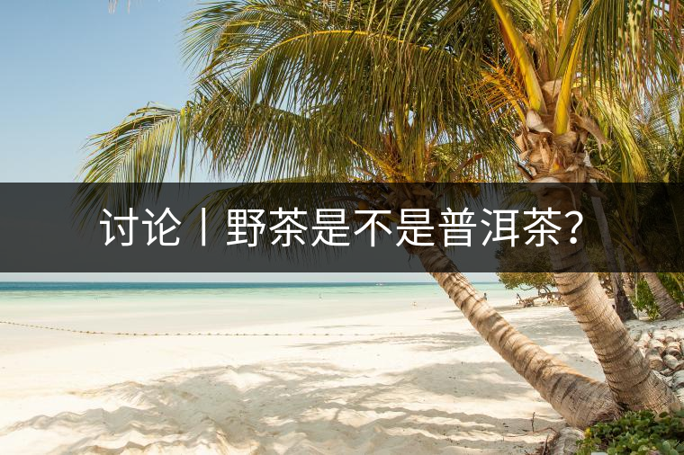 討論丨野茶是不是普洱茶？