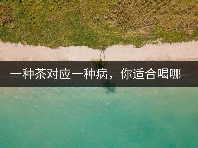 一種茶對應(yīng)一種病，你適合喝哪一種呢？