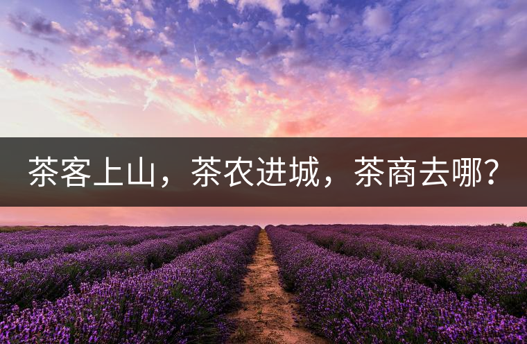 茶客上山，茶農(nóng)進(jìn)城，茶商去哪？
