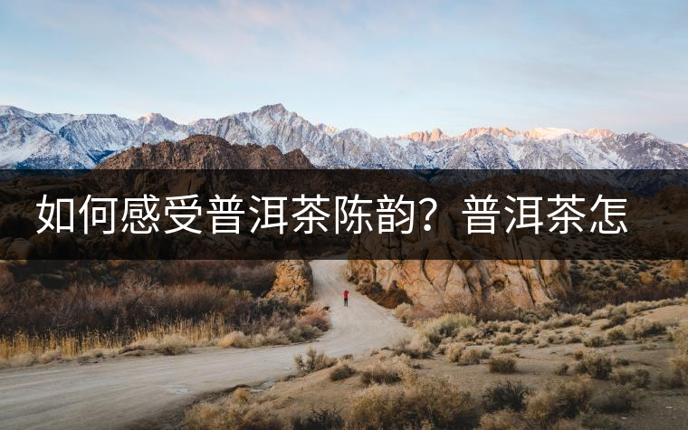 如何感受普洱茶陳韻？普洱茶怎么喝？