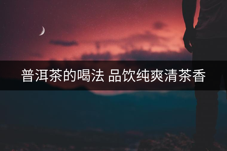 普洱茶的喝法 品飲純爽清茶香
