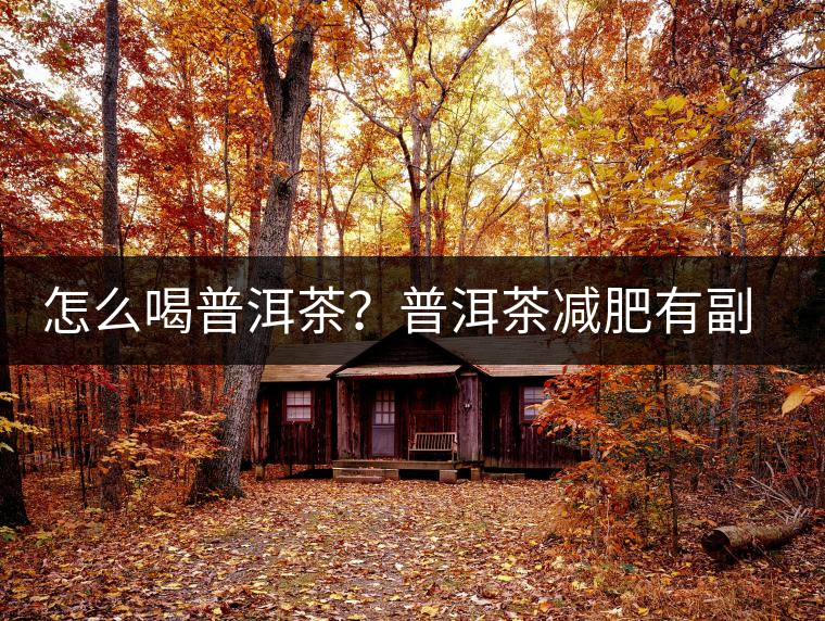 怎么喝普洱茶？普洱茶減肥有副作用嗎？