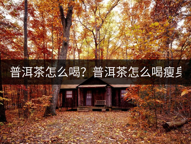 普洱茶怎么喝？普洱茶怎么喝瘦身？