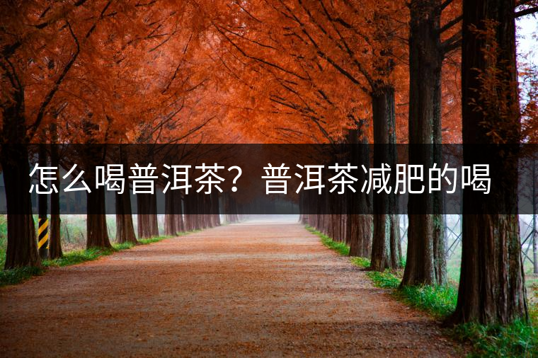 怎么喝普洱茶？普洱茶減肥的喝法