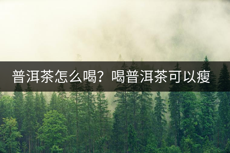 普洱茶怎么喝？喝普洱茶可以瘦腹嗎？