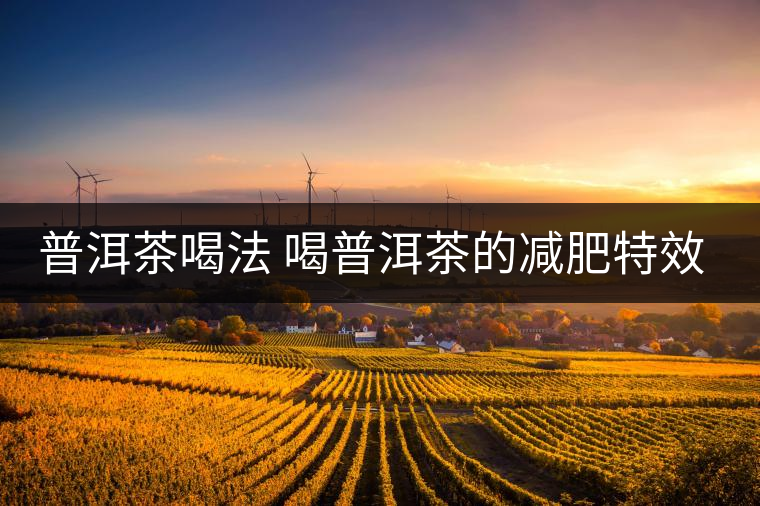 普洱茶喝法 喝普洱茶的減肥特效是什么呢？