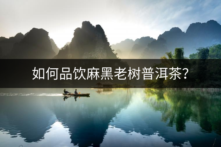 如何品飲麻黑老樹普洱茶？